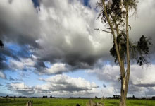 九游会网页登录 -欧冠赛后走向成谜，华盛顿奇才内部沟通，悬念犹存，控场能力受关注的简单介绍